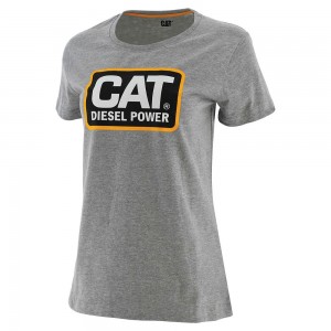 Camiseta Caterpillar Diesel Power Mujer Gris | 9758-PQVRW